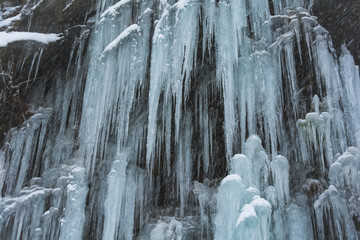 North Cascades National Park Washington Winter Storm Snow Ice Forrest