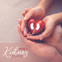 adult and child hands holiding red heart, World kidney day