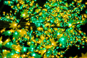Green and yellow tree light