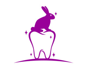 Fototapeta premium purple tooth dental rabbit hare rabbit fauna image