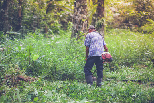 Farmers are mowing, Use a lawn mower.