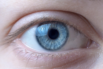 Fototapeta premium Macro image of blue human eye