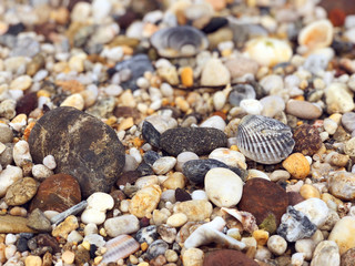 Pebbles and shells on a beach