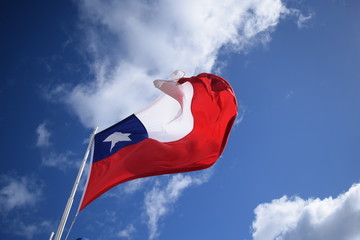 Bandera Chilena