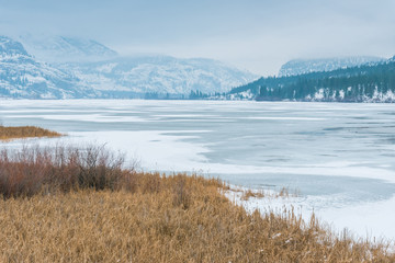 Frozen Vaseux Lake in winter looking south across the marsh toward McIntyre Bluff with mountains and fog in distance