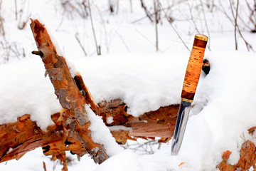 Set Hunting, camping knife in winter snowy forest. Birch bark handle. White snow background.