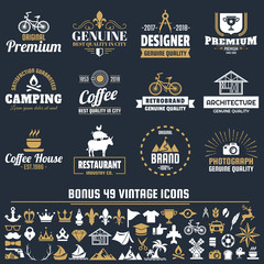 Vintage Retro Vector Logo for banner