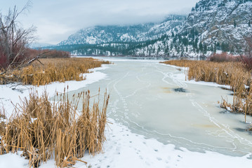 Frozen Okanagan River surrounded by reeds with Vaseux Lake and mountains in the distance