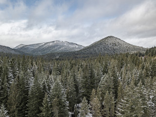 Obraz premium Aerial mount hood national forrest