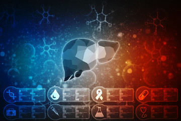 Realistic human liver 2d illustration