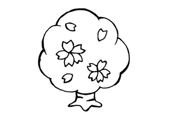 サクラ