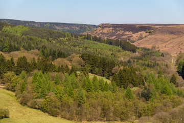 Fototapeta premium Landscape in the North York Moors National Park, UK