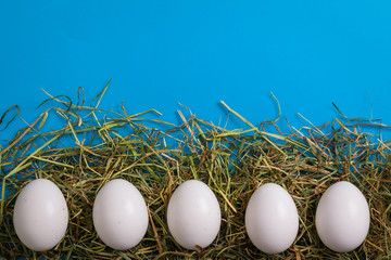 White eggs is laying in row on hay, with colour paper for your text.
