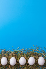 White eggs is laying in row on hay, with colour paper for your text.