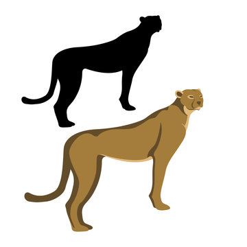 cheetah  black silhouettevector illustration flat style profile