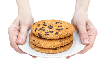 Woman hands holds plate with chocolate chip cookies. Isolated on white.