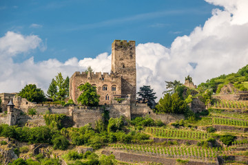 Gutenfels Castle and vineyards at Rhine Valley near Kaub, Germany.