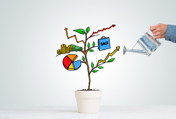Drawn income tree in white pot for business investment savings and making money