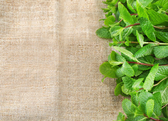Fresh lemon balm on fabric