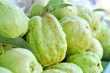 Fototapeta premium Guava