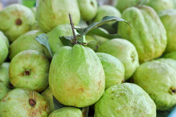 Guava