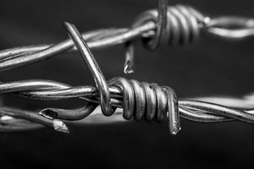 a closeup of barbed wire
