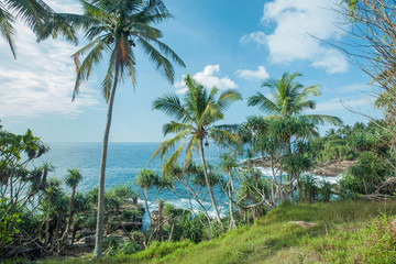 Fototapeta na wymiar Ocean with cold water waves and coconut trees on green hill. Tropical landscape under white clouds at sunny weather
