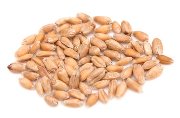 Wheat on white