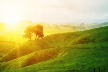 Morgensonnenaufgang auf der grünen Grasfarm auf dem Hügel. © InfiniteFlow