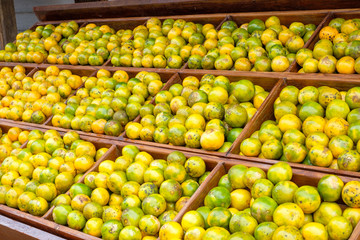 Orange fruits soiled organic stacked on wood crate in grocery