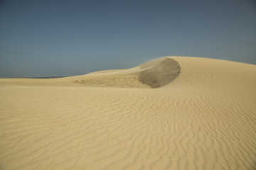 Fototapeta na wymiar Dune di Corralejo, Fuerteventura, Spagna, deserto, vento