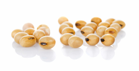 soybean on the white background