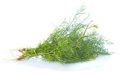fresh dill isolated on white