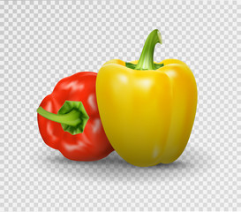 Set of two peppers. Yellow, red pepper. Vector illustration, natural pepper realistic image with shadow for culinary products and recipes illustration