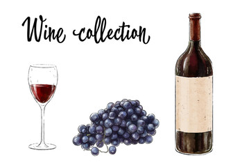 Bottle of red wine with a glass and grape cluster isolated on white background. Wine collection. Vector illustration.