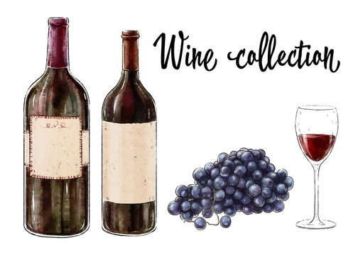 Two bottles of red wine with a glass and grape cluster isolated on white background. Wine collection. Vector illustration.