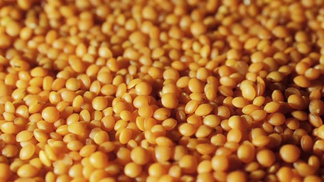 Lentils turnig around, slow