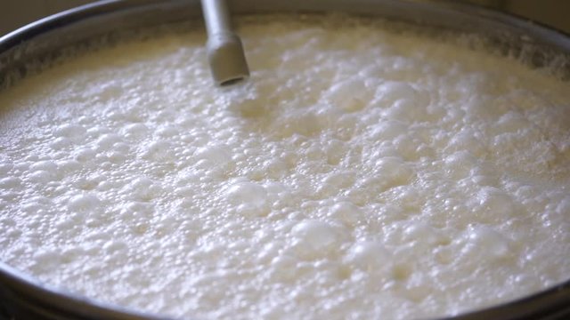 milk products. production of cheese. milk is drained from the boiler