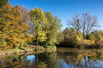 Fototapeta na wymiar Autumn at the Nidda river