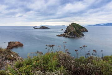 presqu'île de giens, parc des chevaliers