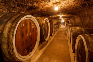 barrels with the wine in the old basement.
