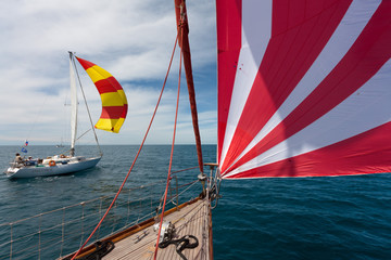 Sea race