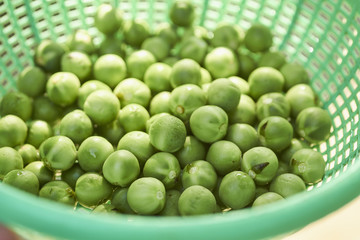 A plastic basket of Thai Bitter Eggplants, sometimes called 