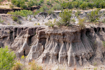 Example of severe soil erosion in an arid region of South Africa