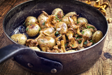Frisch gebratene Pfifferlinge mit Bratkartoffel als Draufsicht in einer Kasserolle