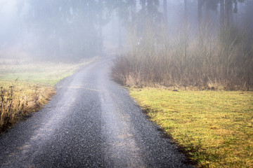 a field path between colorful frozen meadows leading to a forest emerging from autumn mist