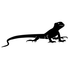Obraz na płótnie Canvas Vector image of silhouette of a lizard on a white background