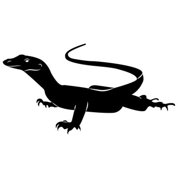 Vector image of silhouette of a lizard on a white background