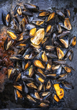Traditional barbecue Italian blue mussel as top view on a metal sheet