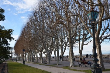 Clichés à Montpellier